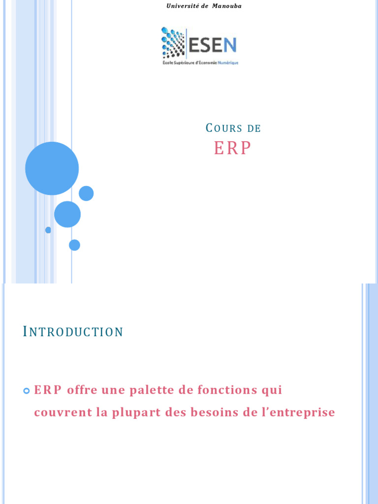 Introduction aux systèmes ERP et CMS | PDF | Gestion de la relation ...