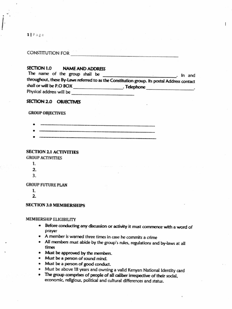Constitution | PDF