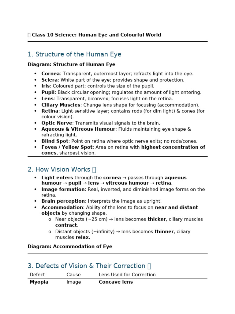 Human Eye and Light Phenomena Guide | PDF | Eye | Human Eye