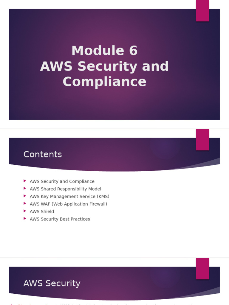 AWS Security and Compliance Overview | PDF | Cloud Computing | Denial ...