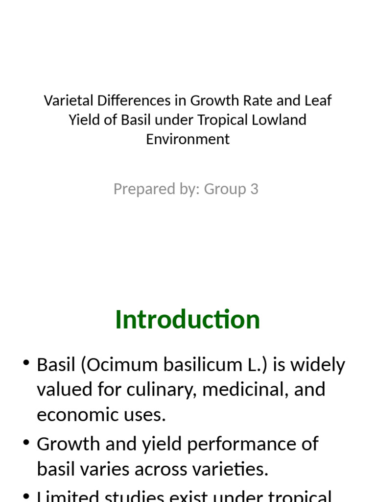 Basil Research Presentation Designed | PDF | Basil | Plants