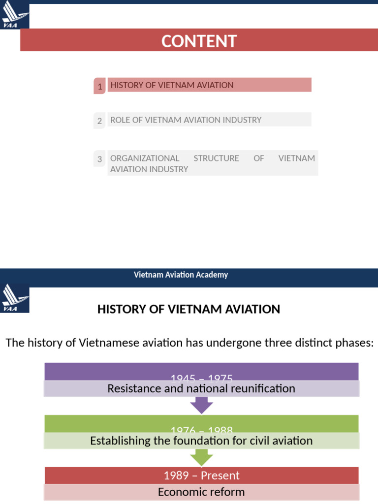 Vietnam Aviation Industry Overview | PDF | Aviation | Vietnam
