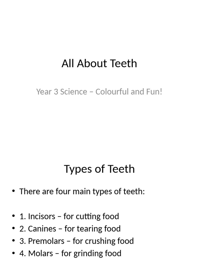 Understanding Teeth: Types and Care | PDF