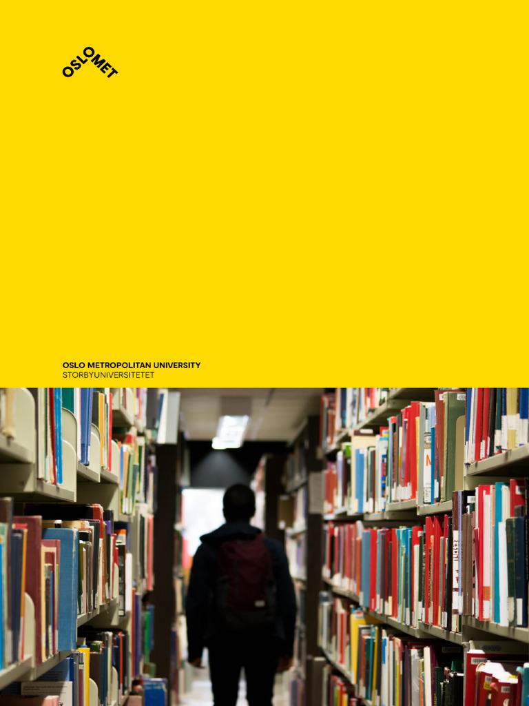 Flyktninger i Intro Nibr 2019 PDF