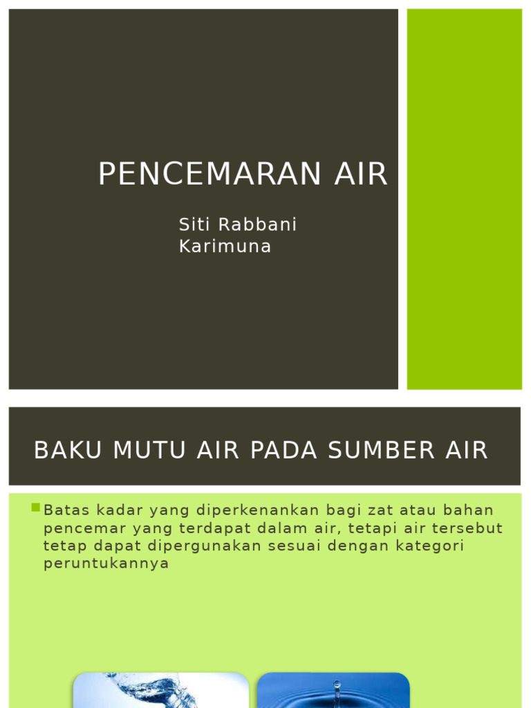 Sumber dan Dampak Pencemaran Air | PDF