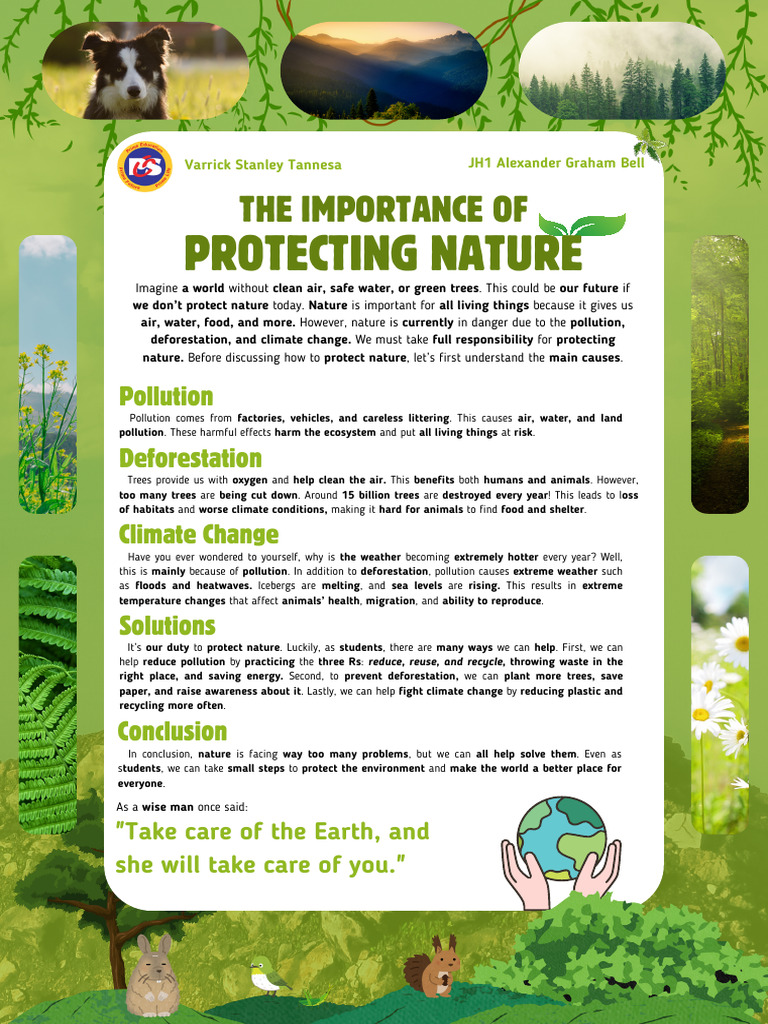 Protecting Nature: Key Solutions Explained | PDF