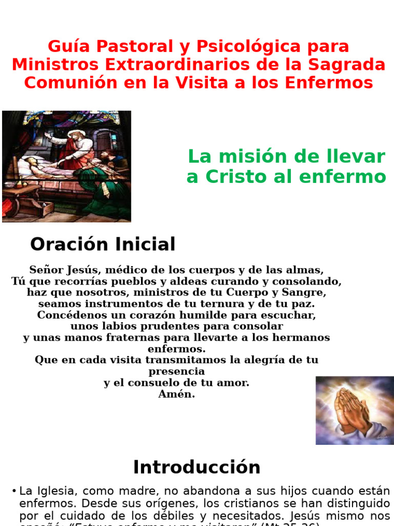 Guía Pastoral y Psicológica para Ministros Extraordinarios de | PDF ...