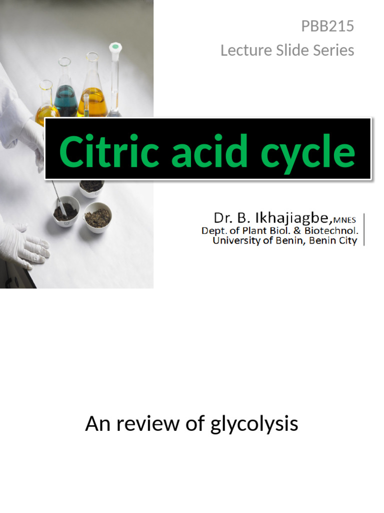 Overview of the Citric Acid Cycle | PDF | Diet & Nutrition | Chemistry