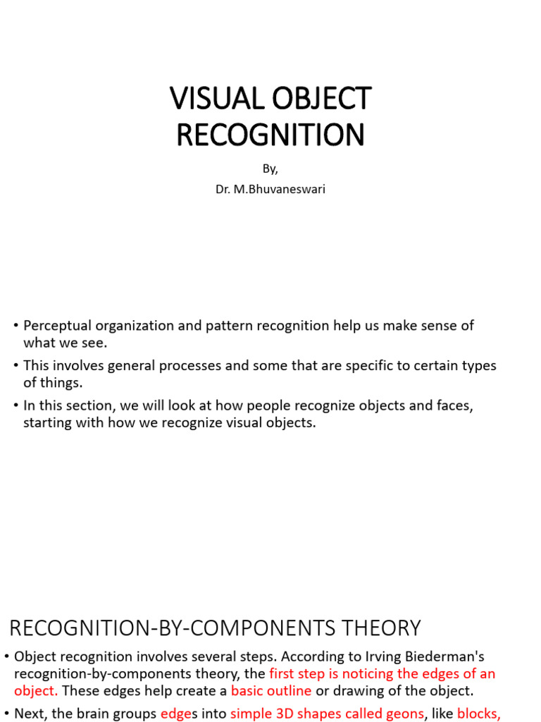 Understanding Visual Object Recognition | PDF | Neuropsychological ...