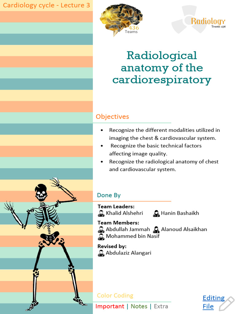Radiological Anatomy of Cardiorespiratory System | PDF | Lung | Thorax