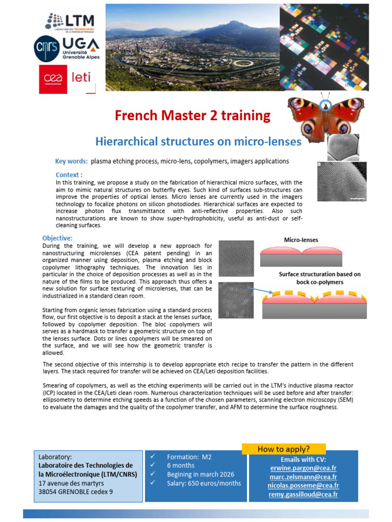 Stage LTM Nanostructuration | PDF | Microscope | Semiconductor Device ...