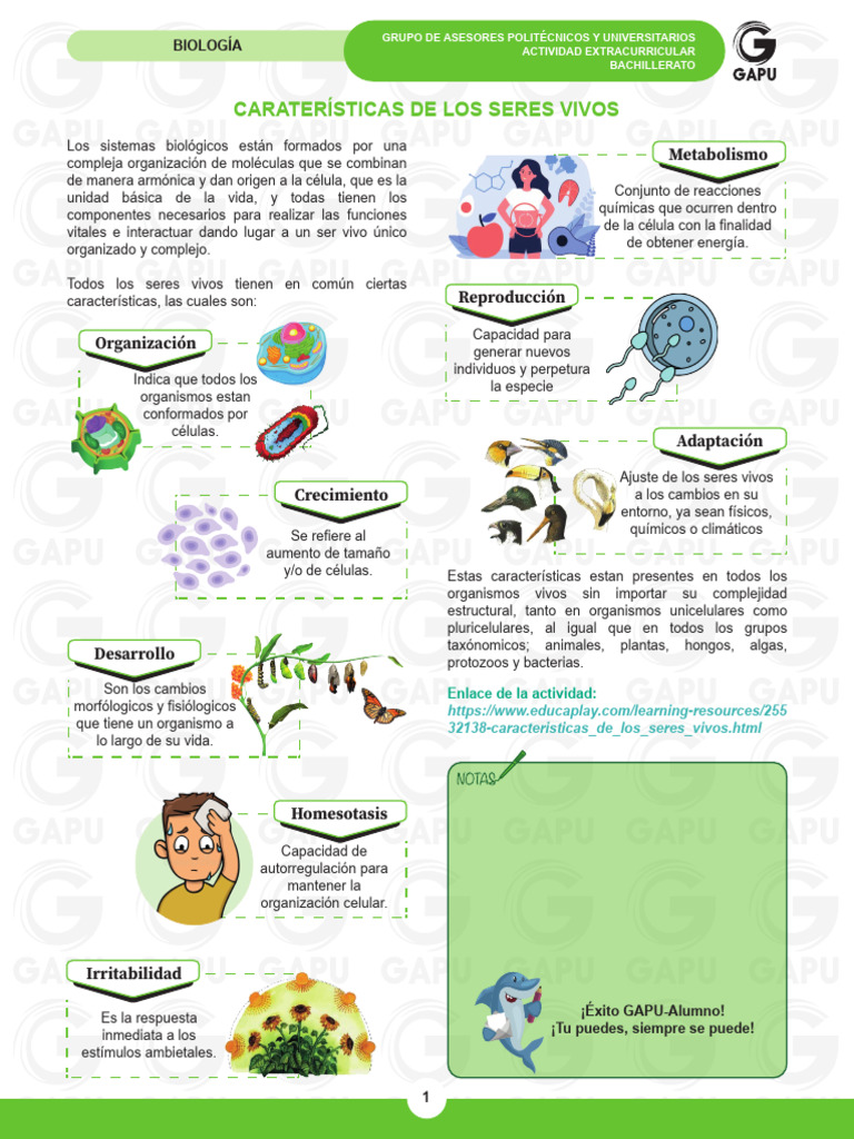 Características de los Seres Vivos | PDF | Organismos | Biología Celular)