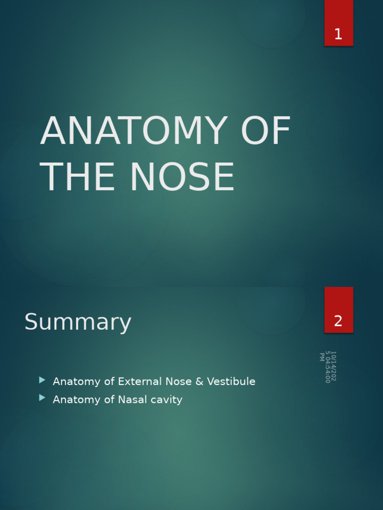 Anatomy of the Nose: Structure & Function | PDF | Human Nose | Human ...
