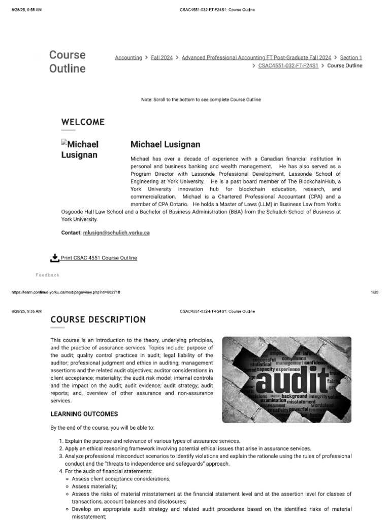 Course Outline - Audit | PDF