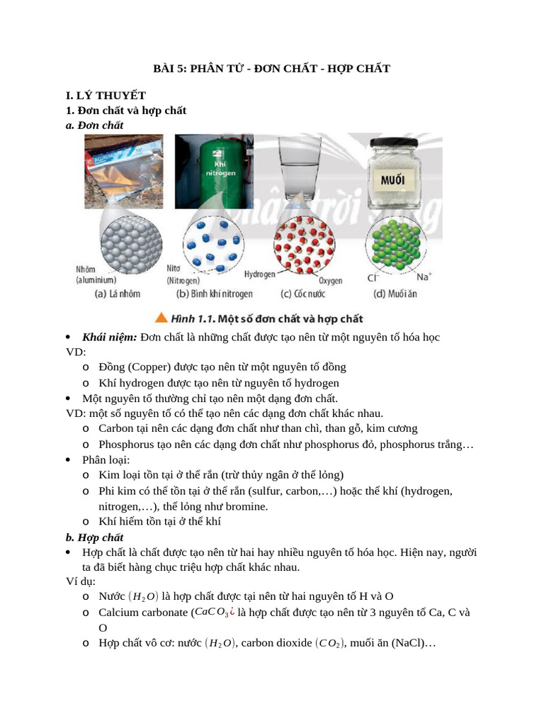 bài 5 khtn 7 | PDF