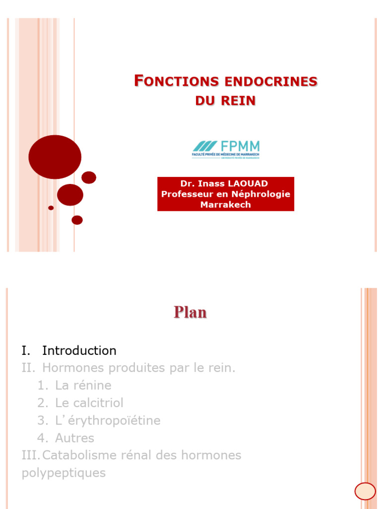 Hormones endocrines du rein et leurs rôles | PDF | Globule rouge | Rein