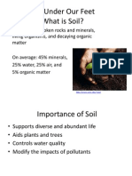 Life Under Our Feet: What Soil Is and Why It Matters