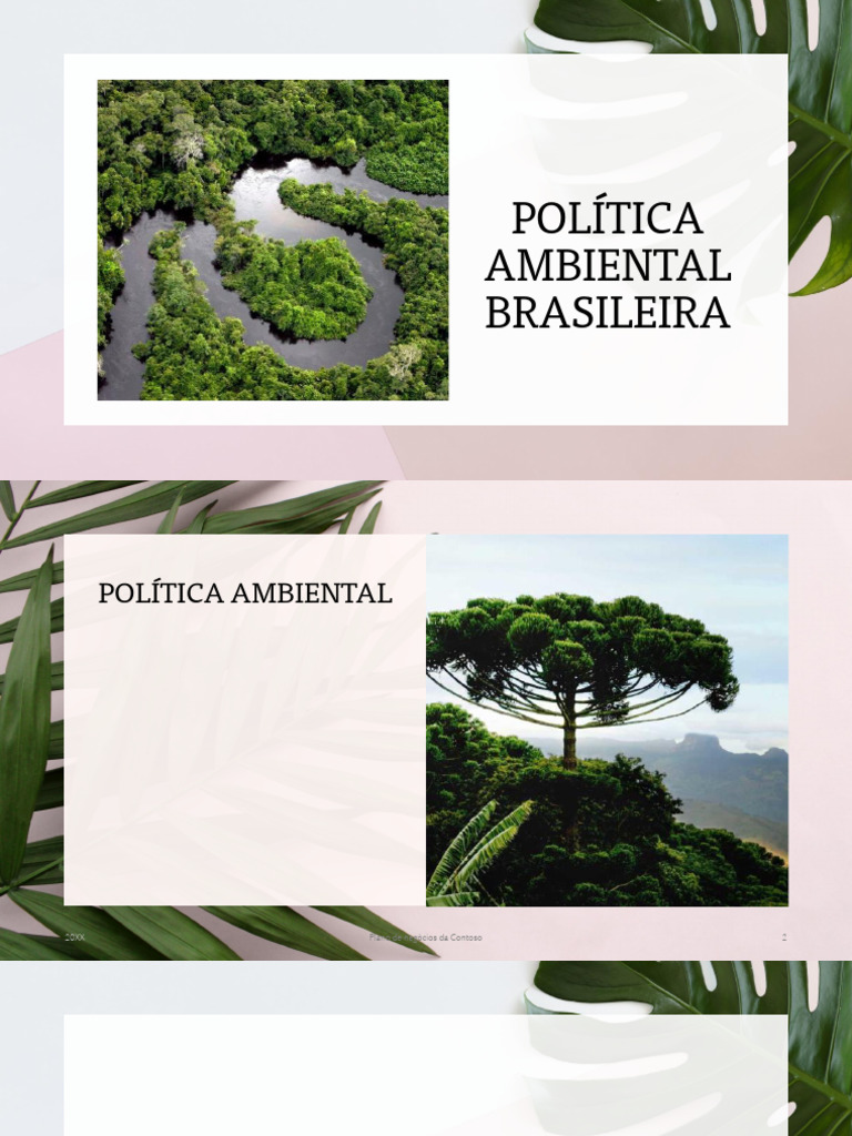 Política Ambiental Brasileira | PDF | Sustentabilidade | Ambiente natural