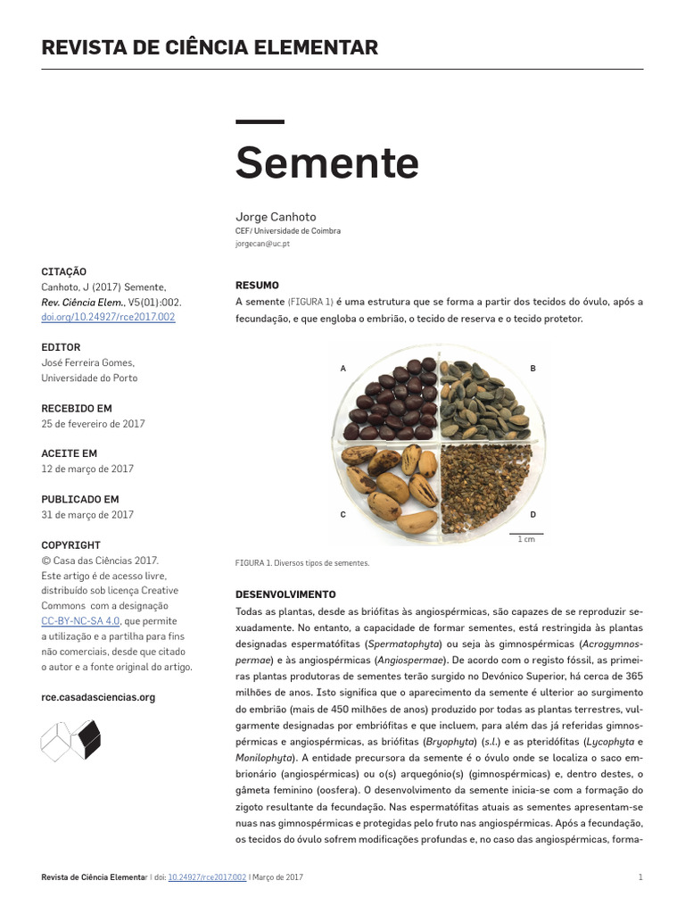 Estrutura e Formação da Semente | PDF | Semente | Reprodução vegetal