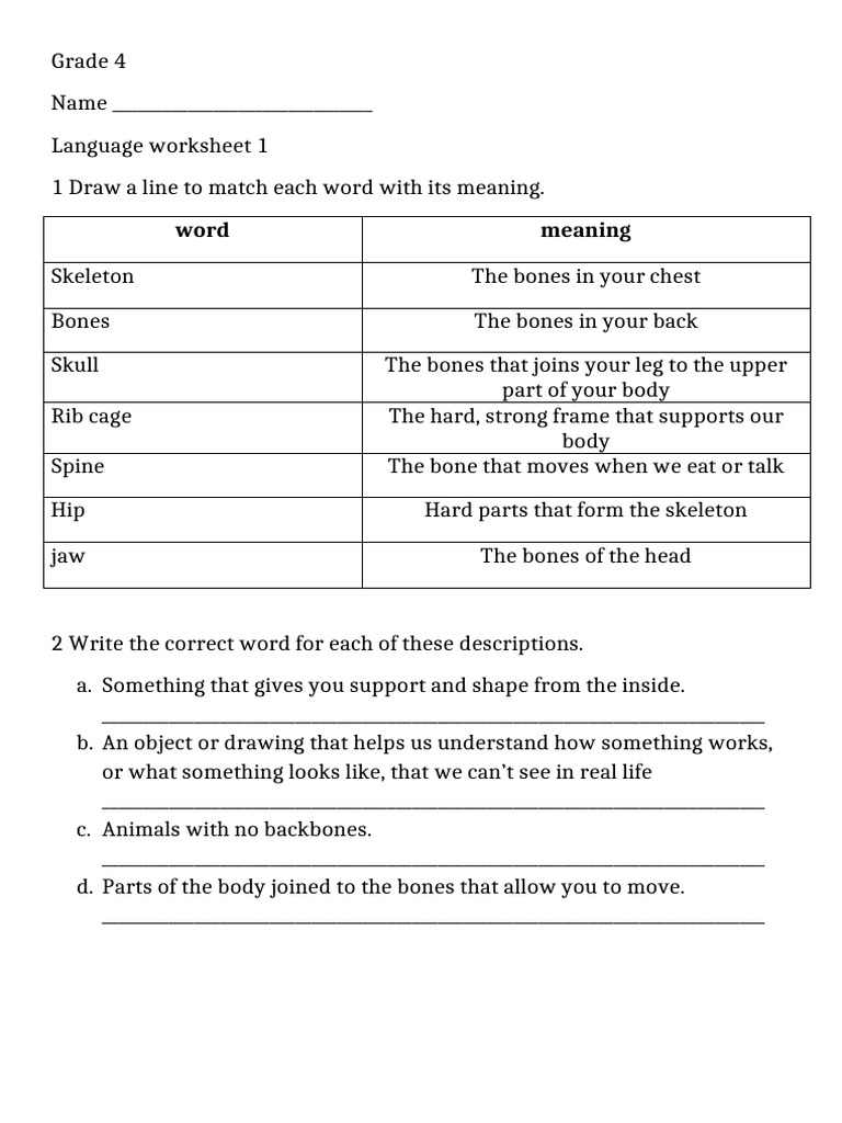 Grade 4 Language and Science Worksheet | PDF | Skeleton | Thorax