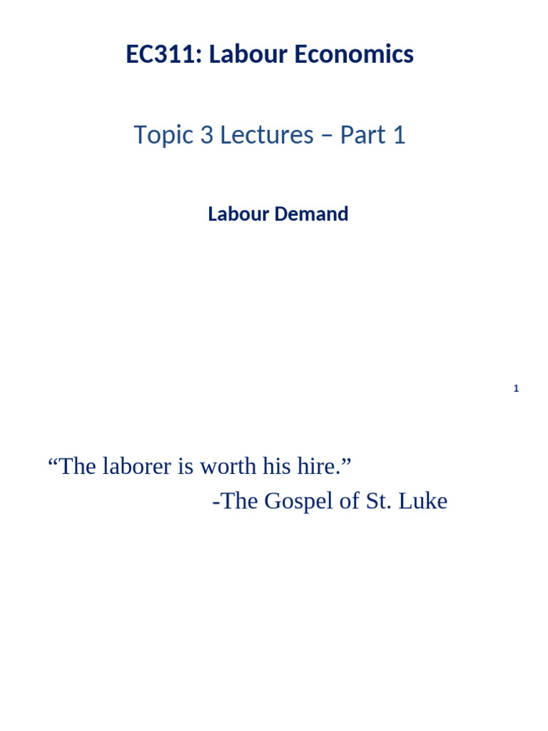 Labour Demand and Hiring Decisions | PDF | Labour Economics | Marginal Cost