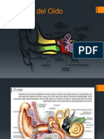 4 Anatomía Del Oído