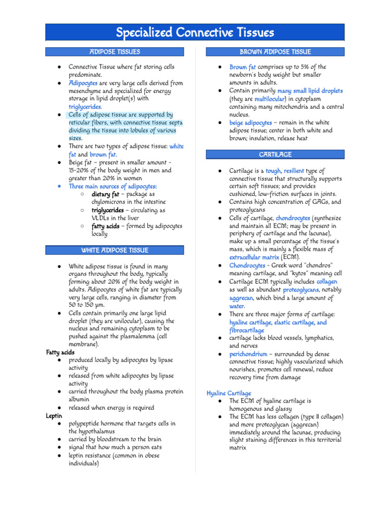 WEEK 4 - Specialized Connective Tissues | PDF | Bone | Osteoblast