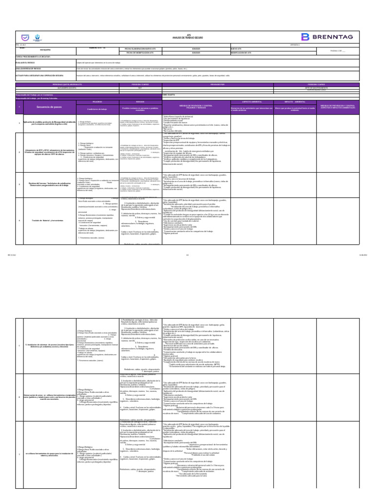 Evaluación y Control de Riesgos Laborales | PDF | Dolor lumbar | Neumonía