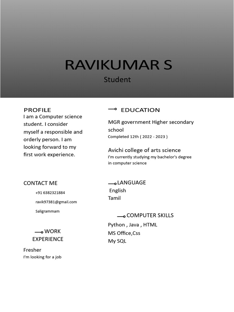 Computer Science Student Resume | PDF