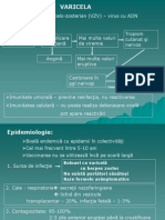 CP 2011 Varicela, HZ