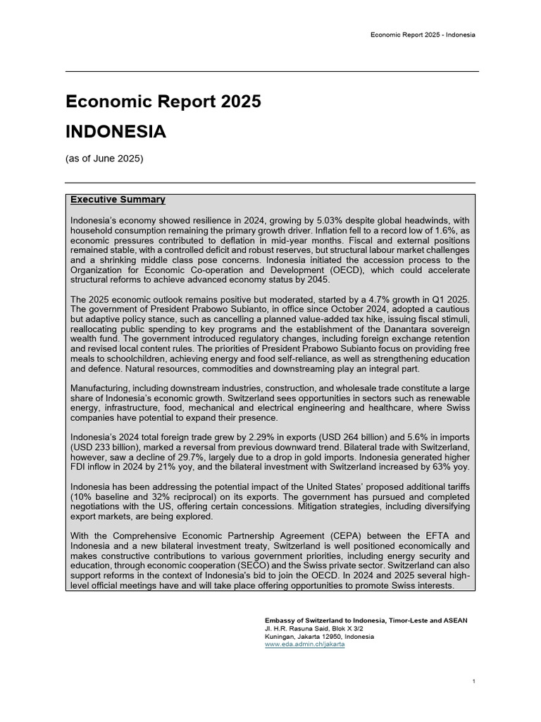 Indonesia Economic Report 2025 Insights | PDF | Government Budget ...