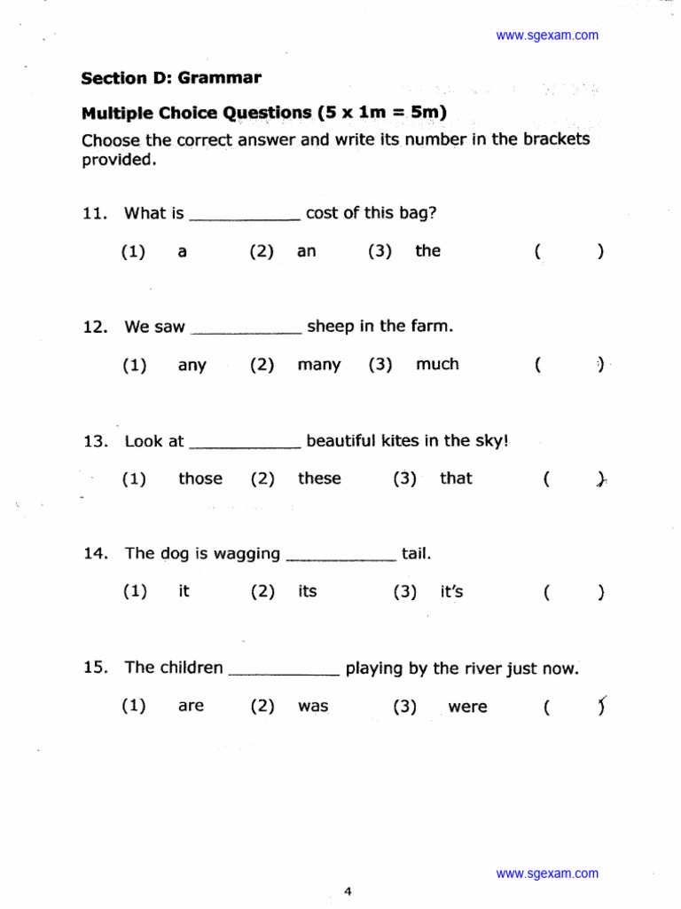 P1 English | PDF