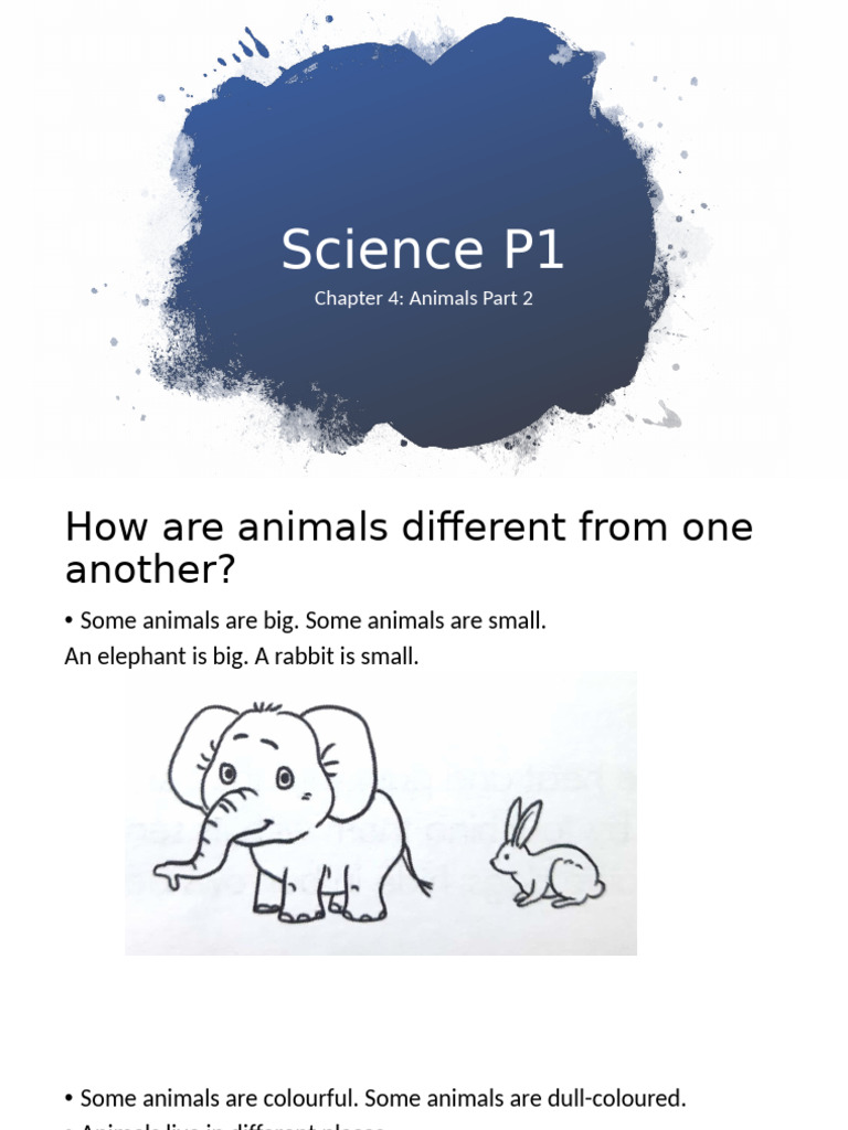Differences Among Animals Explained | PDF