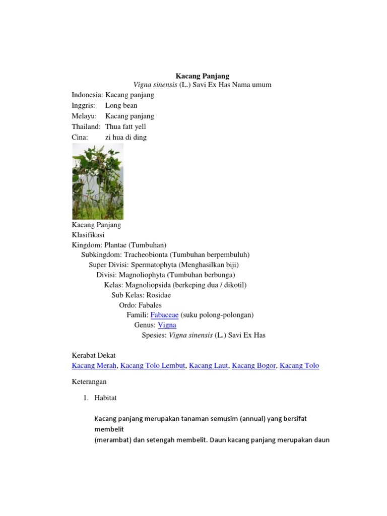 Kacang Panjang Pdf