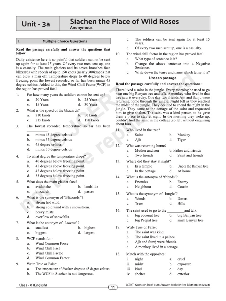 jn8 Eng Daf QB 05 2024-25 e | PDF