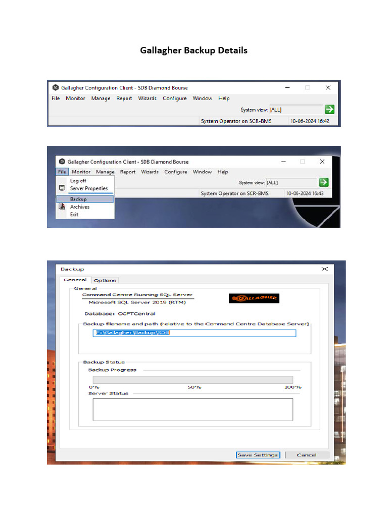13.5.2.gallagher Backup | PDF