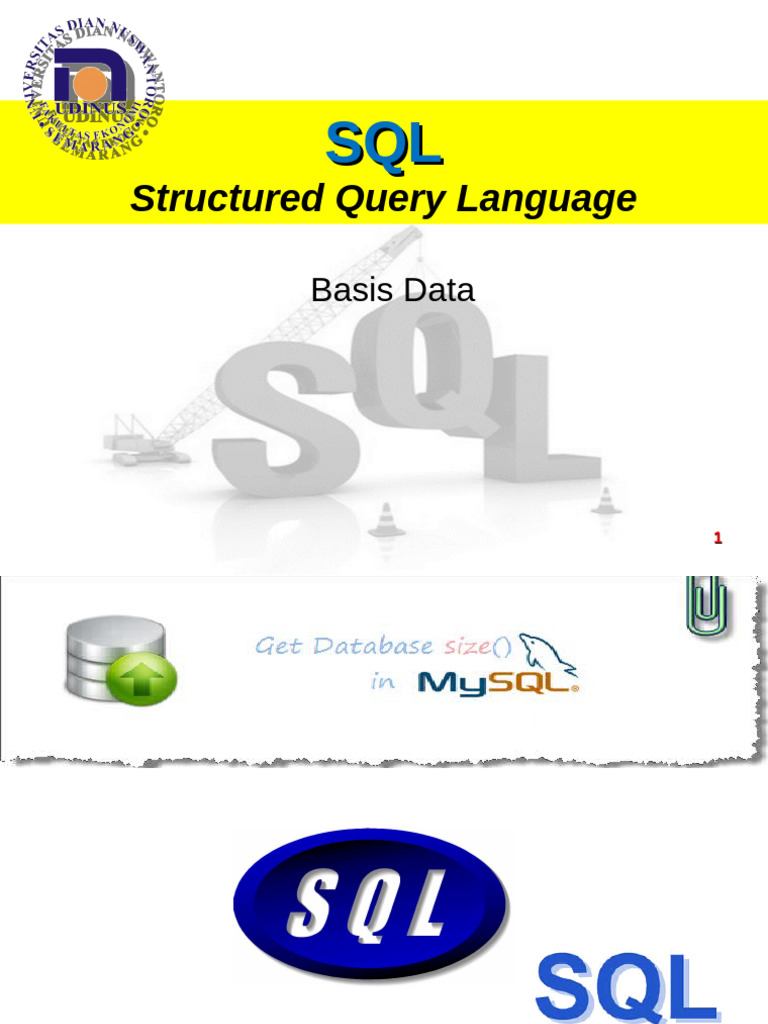 Panduan Dasar SQL dan DBMS | PDF
