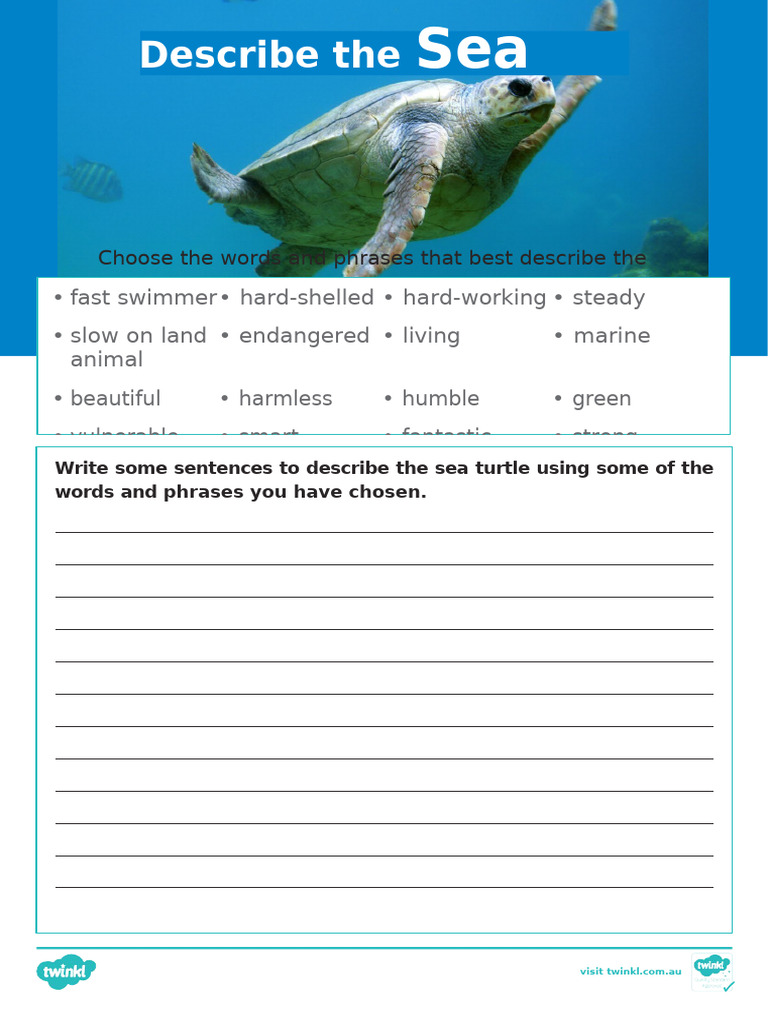 Sea Turtle Description Worksheet | PDF