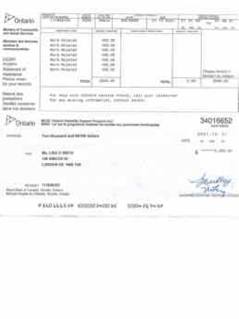 ODSP Income Statement | PDF