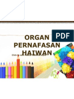 Organ Pernafasan Haiwan