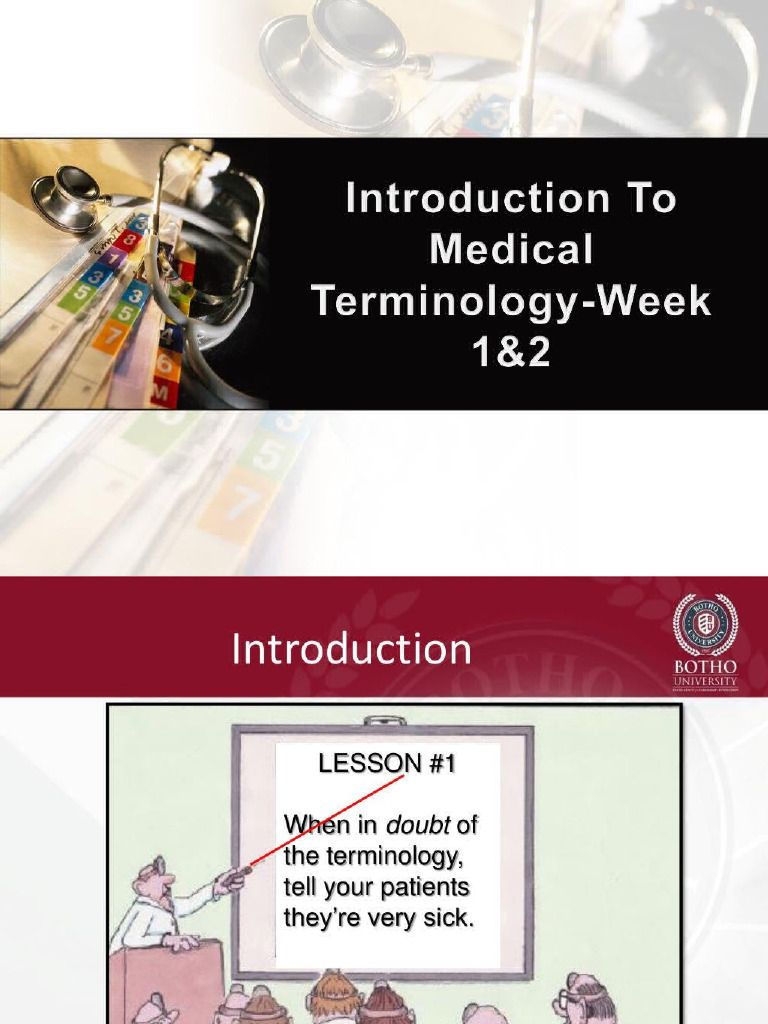 Terminology 1 | PDF