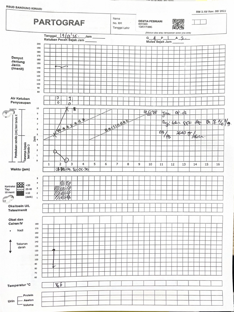 Patograf 5137 | PDF