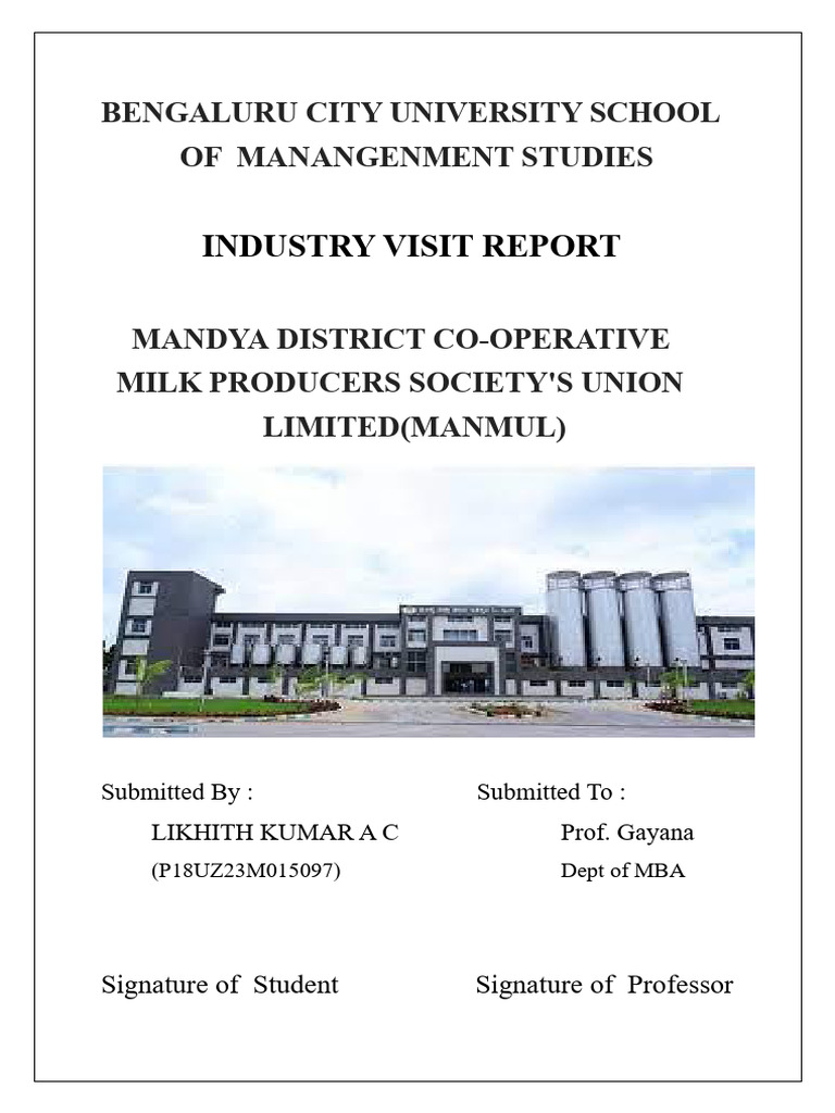 Industry Visit Report: MANMUL Insights | PDF