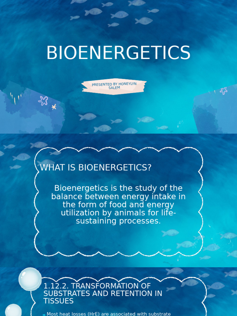 Understanding Bioenergetics in Animals | PDF | Nutrients | Bioenergetics