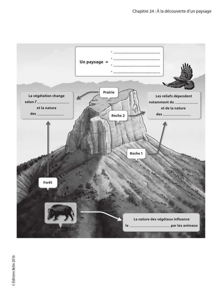 Exploration des paysages naturels | PDF