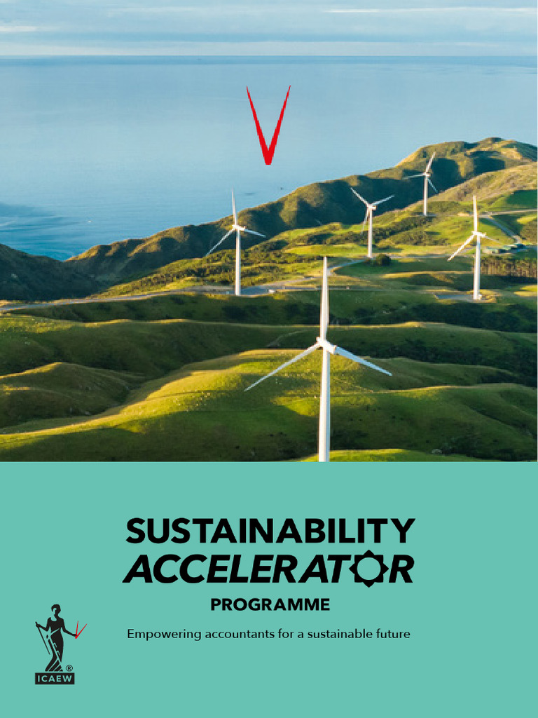 ICAEW Sustainability Accelerator Guide | PDF | Sustainability | Governance