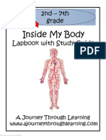 Inside My Body