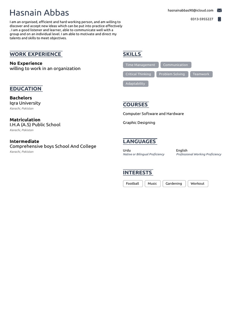Hasnain's Resume | PDF