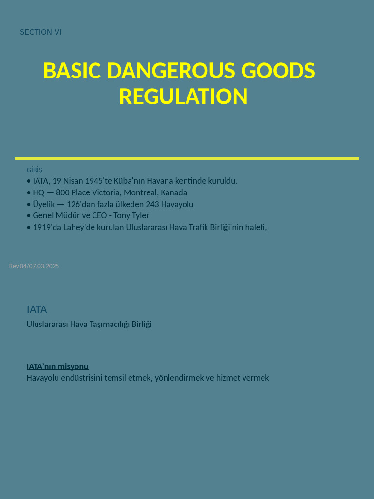 Basic Dangerous Goods Regulation: Section Vi | PDF