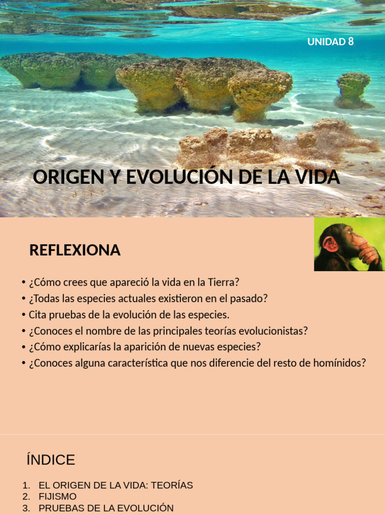 Unidad 8 Origen y Evolución de La Vida | PDF | Evolución | Homo